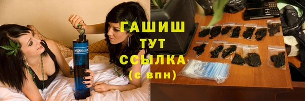 ECSTASY Богданович