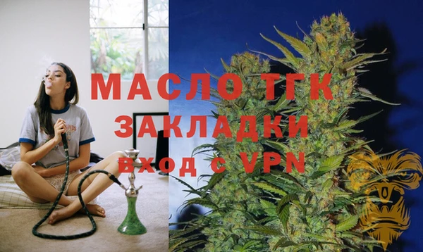 ECSTASY Богданович