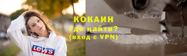 бошки Новозыбков