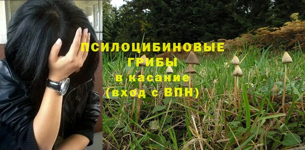ECSTASY Богданович