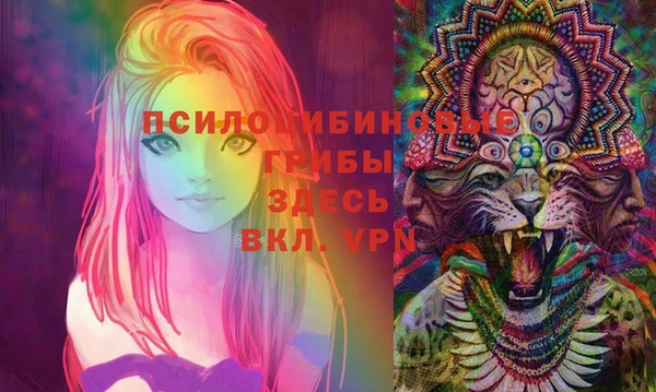 эйфоретик Богородицк