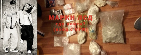 ECSTASY Богданович