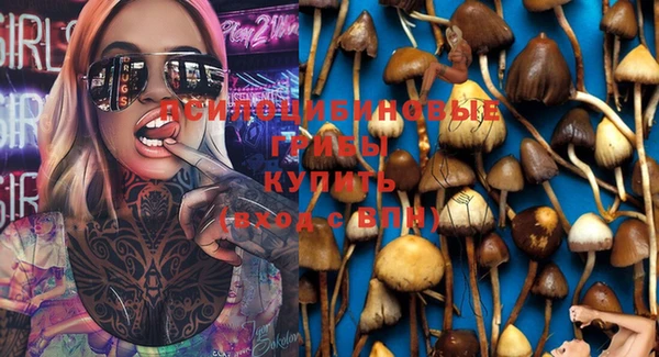 ECSTASY Богданович