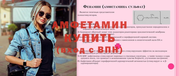 ECSTASY Богданович