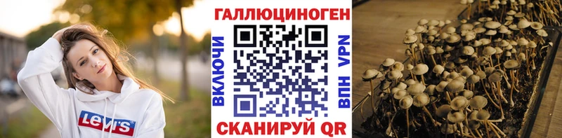 Псилоцибиновые грибы мухоморы  Полтавская 